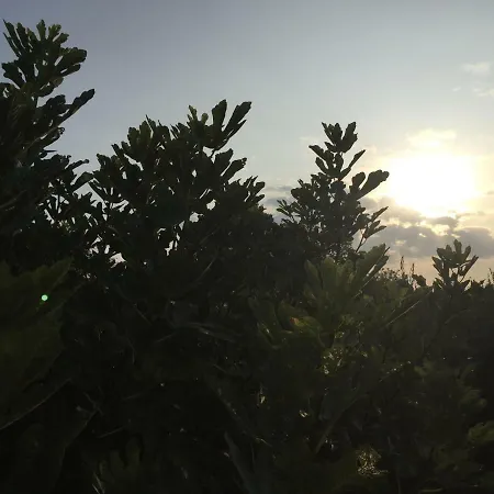 בית חווה Agriturismo Macole Fattoria Con Spuntini