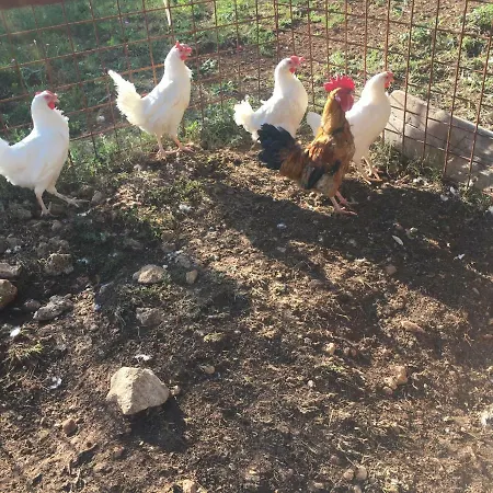 בית חווה Agriturismo Macole Fattoria Con Spuntini