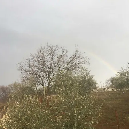 בית חווה Agriturismo Macole Fattoria Con Spuntini ורונה