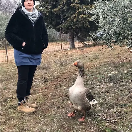 Agriturismo Macole Fattoria Con Spuntini